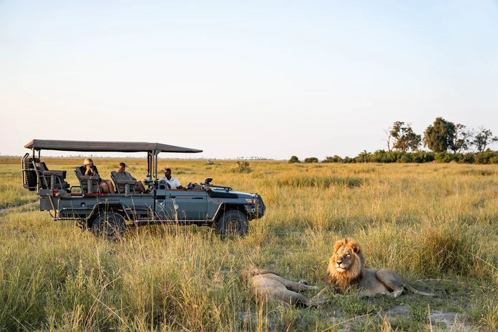 Afrykanskie Safari